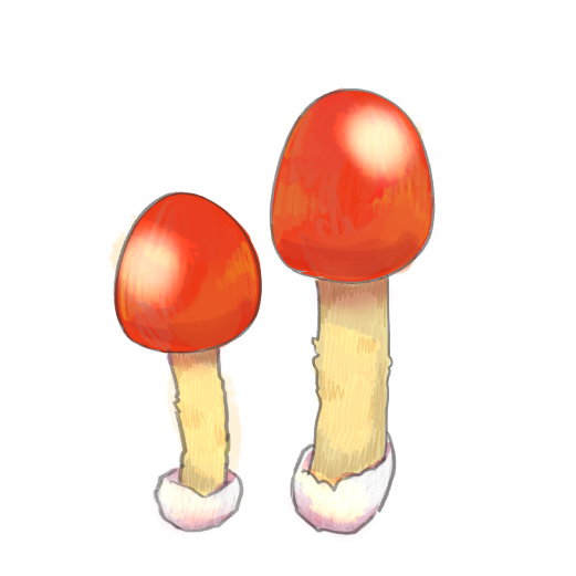 Amanita hemibaphaのイラスト